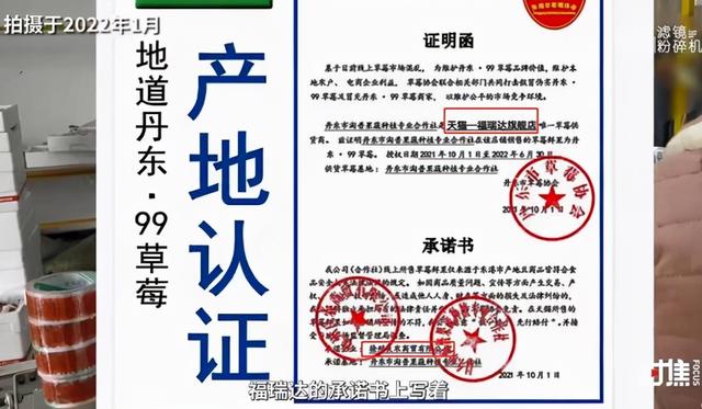 大连废木材破碎机