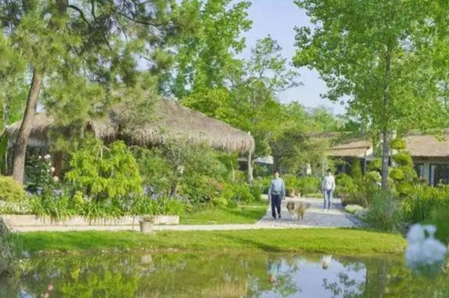 腾讯元老魏震：赚够钱后果断辞职，携妻儿归隐山林，每天种地喝茶