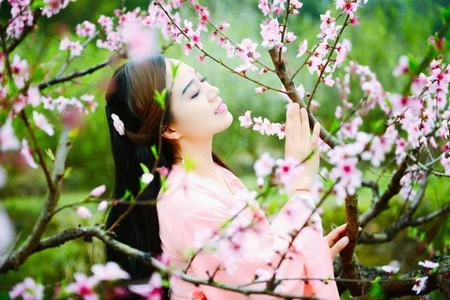 梦中那一片桃花林