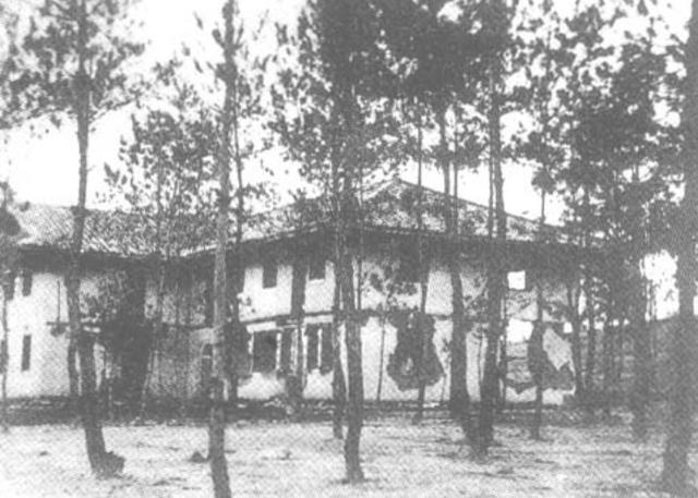 1956年陈赓带一少年来到中南海，碰见周恩来，陈赓：你看他像谁？