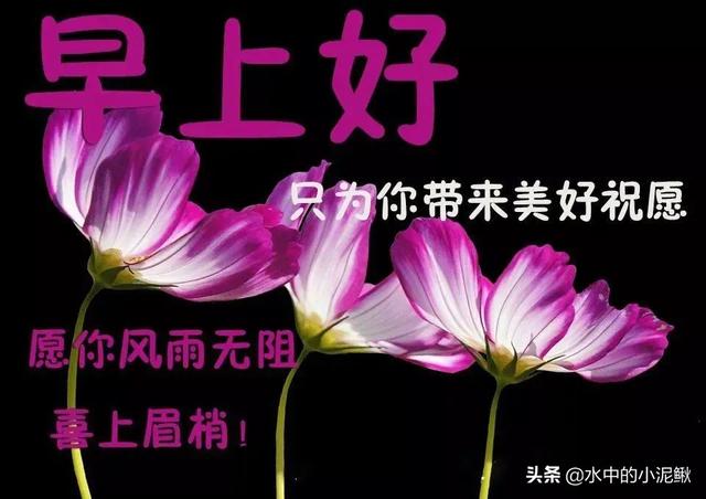 适合04月24日发微信朋友圈的早安句子