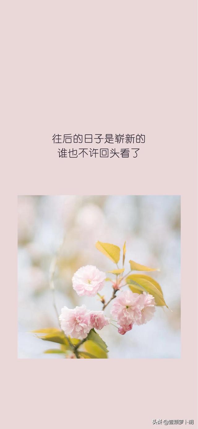总有一句你喜欢的文案，我最喜欢第八句