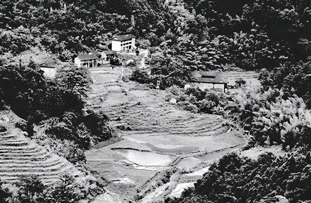 毛主席邀请福建一农民参加国庆阅兵，堂弟顶替进京，主席：你不是