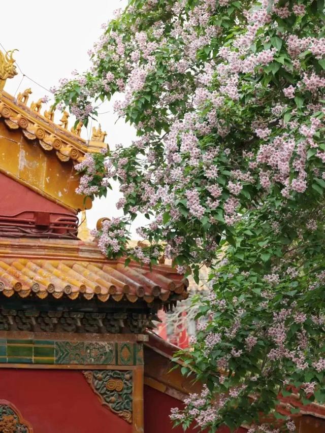 千万春花次第开