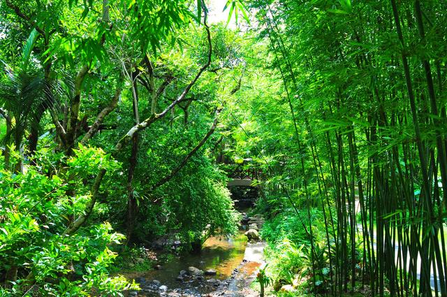 深圳8個免費旅行景點，你去過幾個？