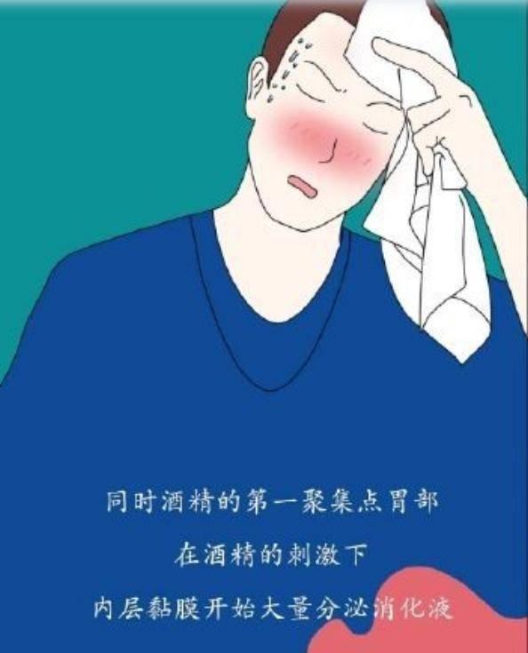 为什么要戒酒？科普：喝酒后人体24小时的变化，看完你还会喝酒吗