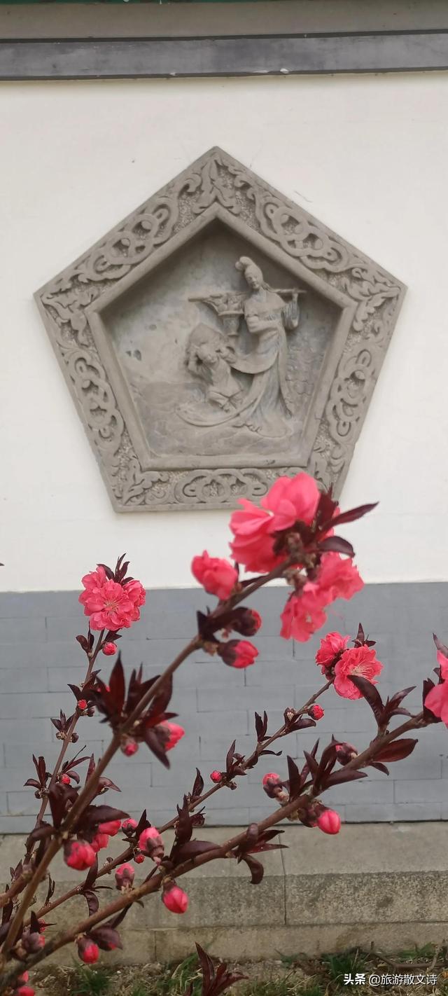 花开杨柳青