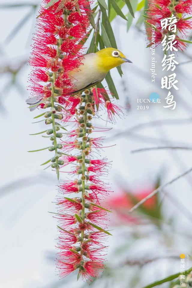 五指山破碎制砂机厂家