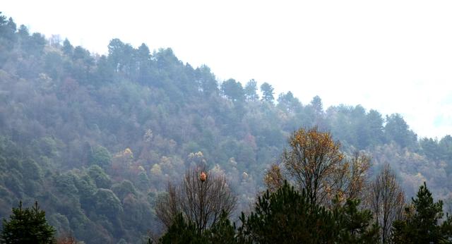 貴州金沙，踏紅軍足迹，觀古道山水，進溶洞探險