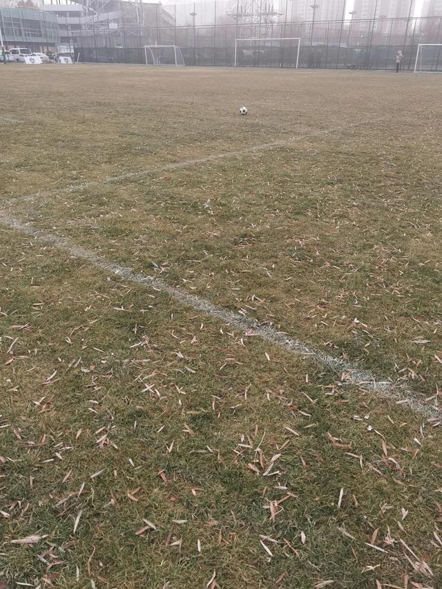 要等“花开”，需要“静待”多久？