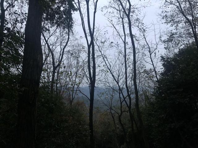 一不小心又成了夜遊~周末街子古鎮康道徒步到光嚴禅院~腳都走麻了