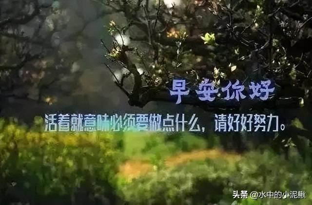 早安心语励志的语句，正能量励志语录短句