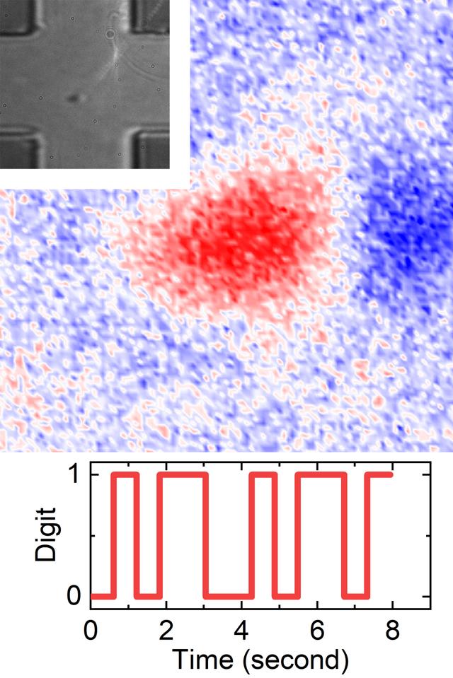 中国科学家设计真正的随机数产生器，每秒内可生成1000万位随机数