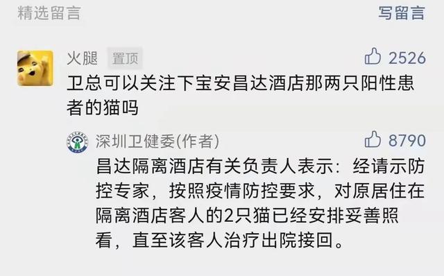 “确诊后，我的猫就要被人道销毁？”