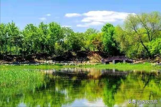 春末夏初的告白：芳菲歇去何须恨，夏木阴阴正可人