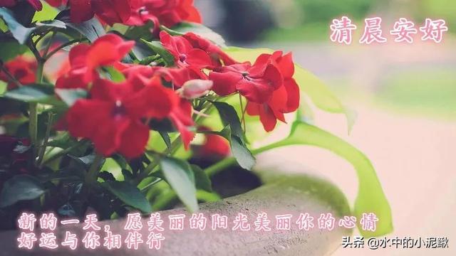 微信朋友圈早安正能量短句分享，句句精辟