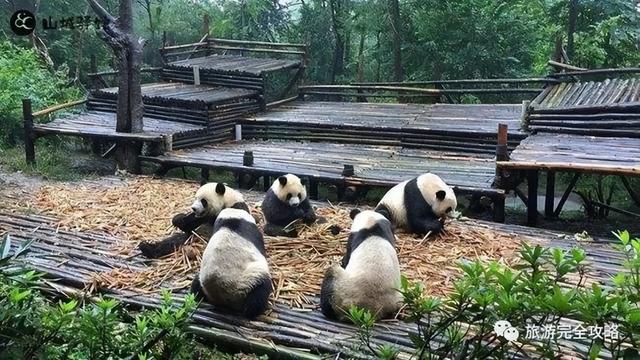 中国十大自驾游路线之 四川重庆陕西自驾游 川渝陕青甘西部地区旅游