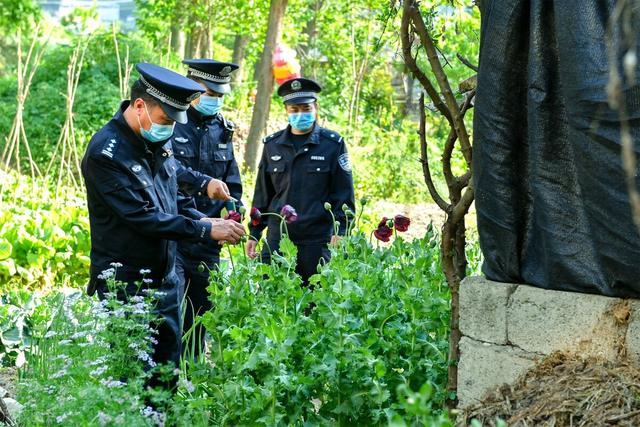 值此五一劳动节来临之际，向坚守在岗位上的劳动者致以崇高的敬意