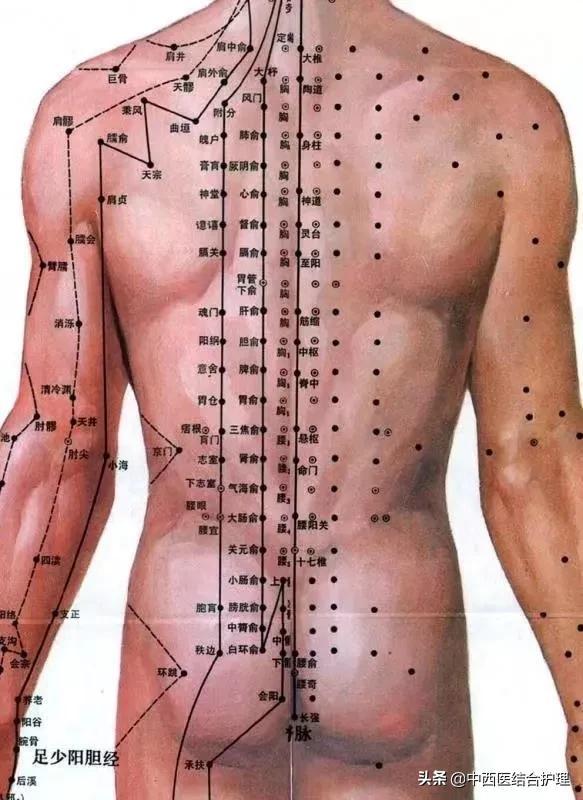 「经络穴位养生科普」预防百种慢性疾病的妙法