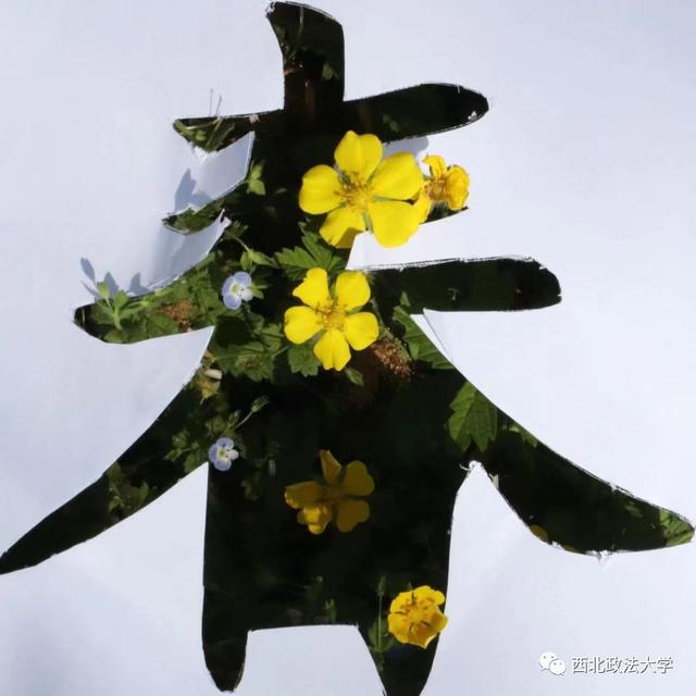 什么？在西法大，spring还有这个意思!