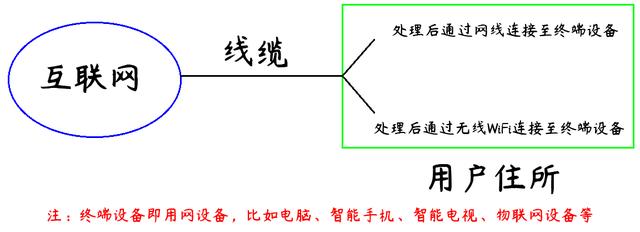 猫和路由器