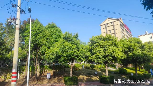 春归时，我把春天收藏