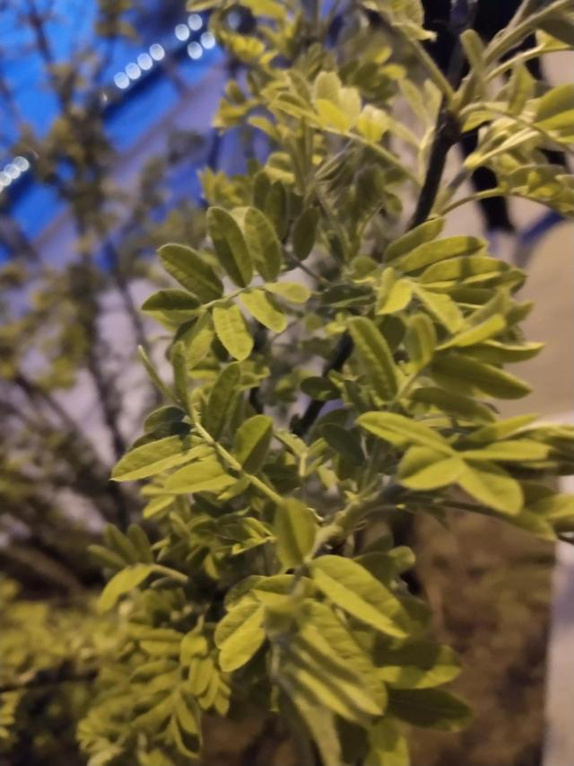 当人寒心一次，才懂…