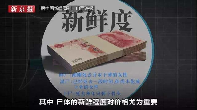 沧州单螺旋洗砂分级机哪里有卖