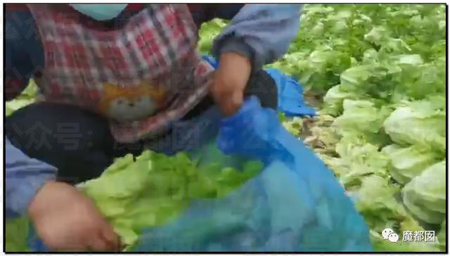 愤怒！众多城市支援上海竟然毫无热度？我们上海人不答应