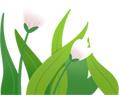 郑州野菜采摘地图出炉！香椿、荠荠菜...挖野菜全攻略，还不赶紧收藏