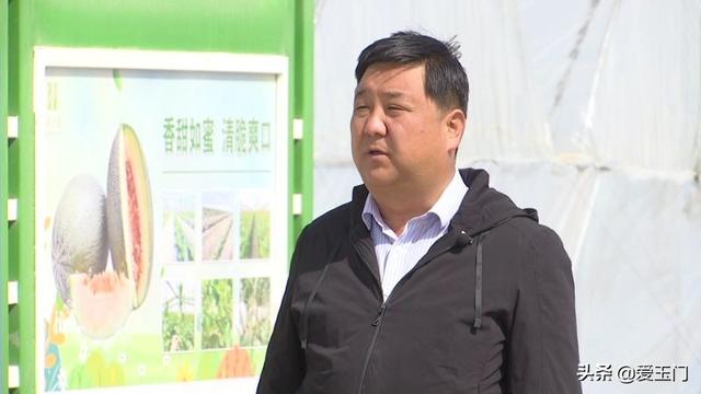 玉门市花海镇：搭棚育苗好春景 蜜瓜产业好“钱”景