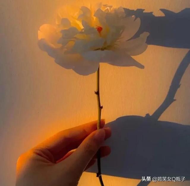 千万不要有拖延症