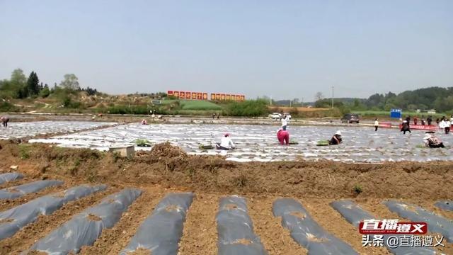 田浩：用辣味青春书写无悔人生