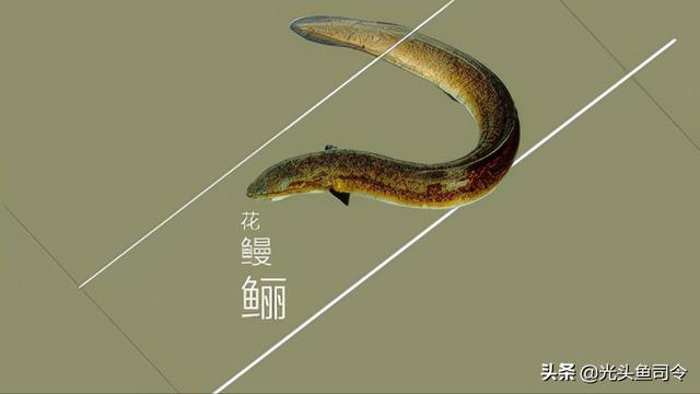 泉州青石制砂机器厂家