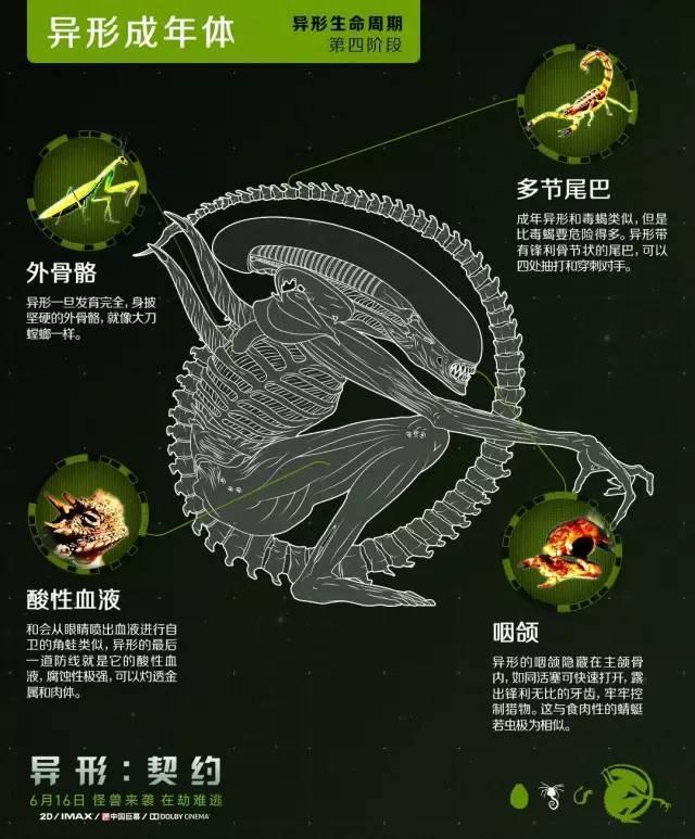 异形电影宇宙中的虚拟种族生物