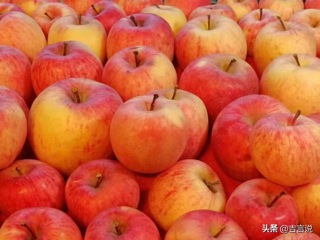 我近乎發病一般，每個冬天都要去一次川西的這個寨子