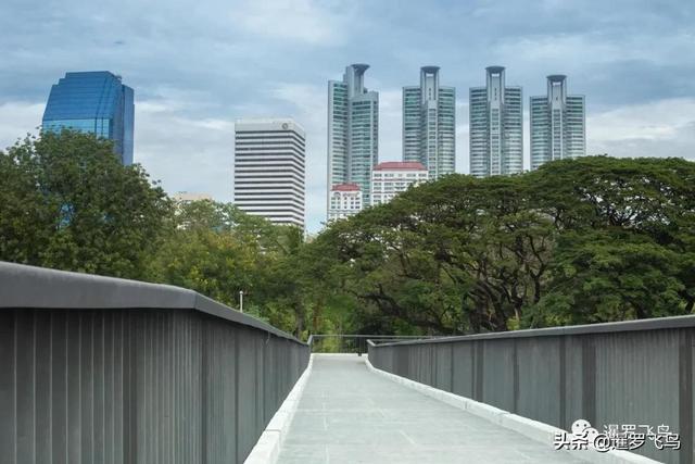 泰國旅行新打卡地：曼谷綠肺中央公園完工，市中心的湖景森林濕地
