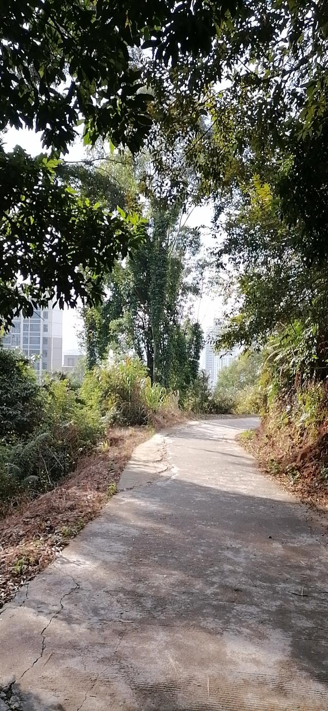 雲彩下的山城系列（三）