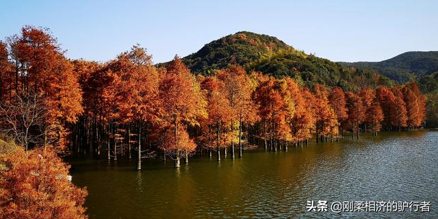 年末了，舉家住到了酒店，爲啥？2021年末我們的隔離生活一