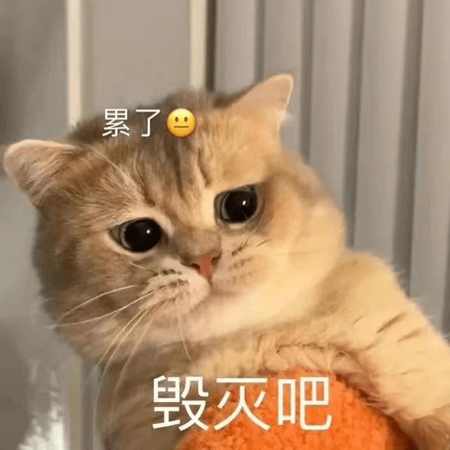 孟晚舟回国全好评,姚安娜新片入围戛纳遭质疑?华为姐妹口碑两极？