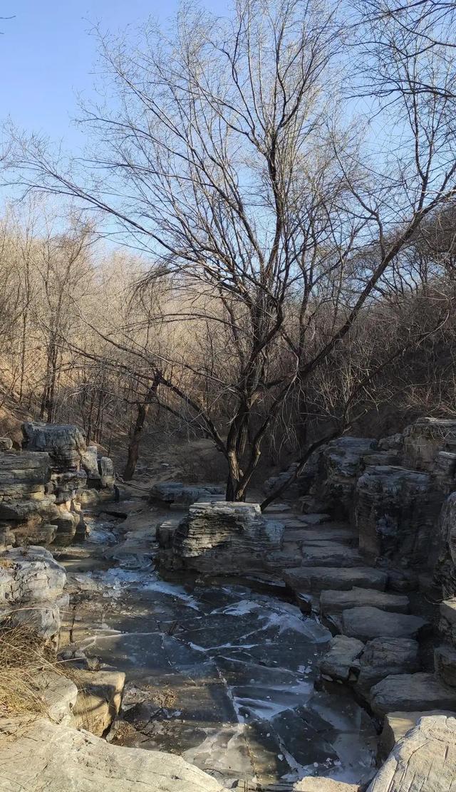 歲末年尾，到北京園博園逛一逛