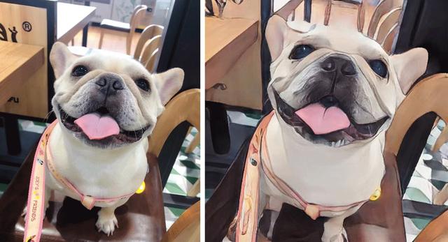 [微信金银花下载]，微信电脑版头像怎么改