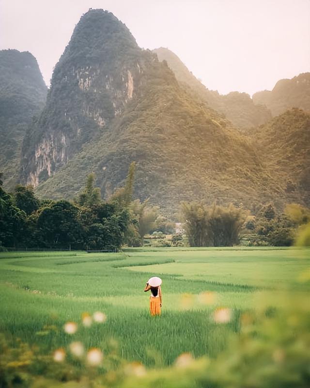 一行禅师：停止我们内在的冲突