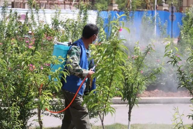 致敬劳动者｜这些背影，如此珍贵