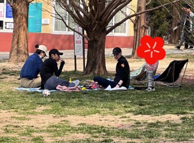 撒贝宁一家四口公园野餐，李白腿长到老公腰部，小腹微凸疑再怀孕