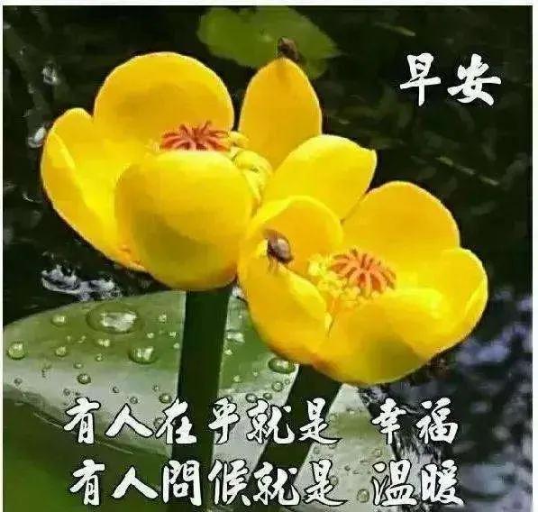 三月早安心语集锦