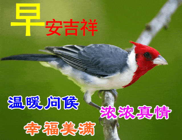 高考祝福语和鼓励的话8字