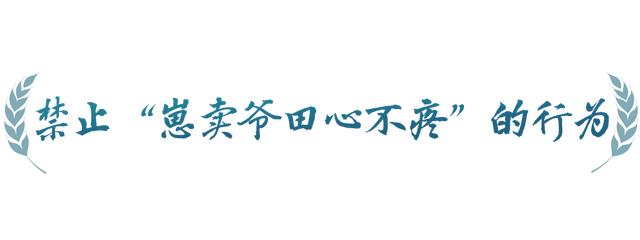 春事看农桑丨农田就是农田