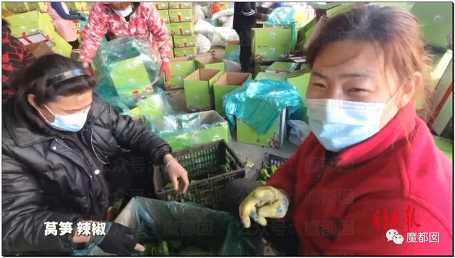 愤怒！众多城市支援上海竟然毫无热度？我们上海人不答应
