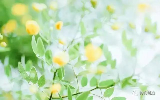 谢谢你！温柔了岁月，惊艳了我们